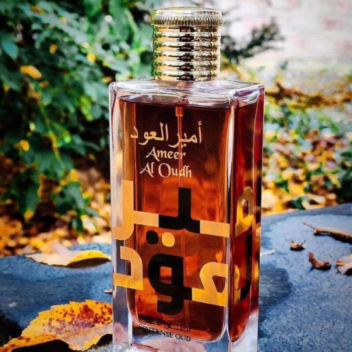 ameer al oudh intense oud lattafa au maroc